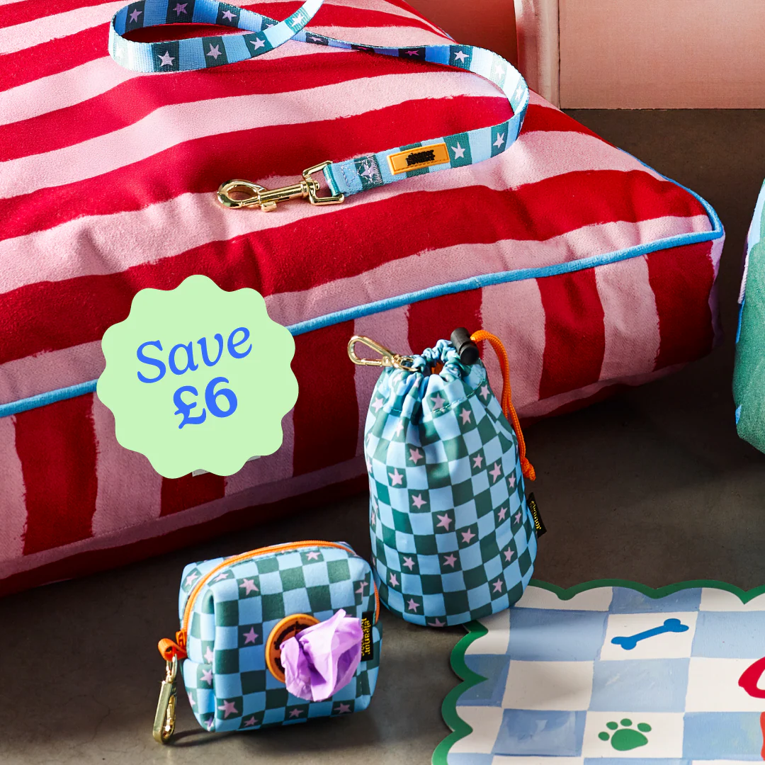 Black Friday Sale